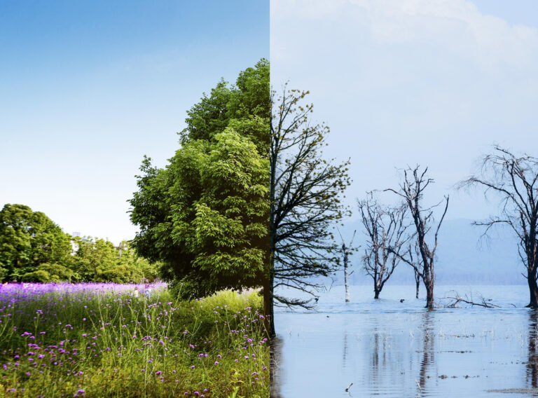 2149129761 2149129761